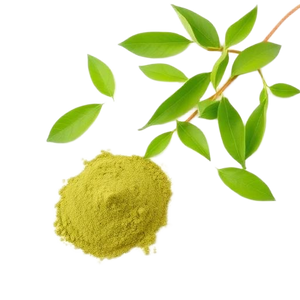 Extrait de Thé Vert (50% EGCG)